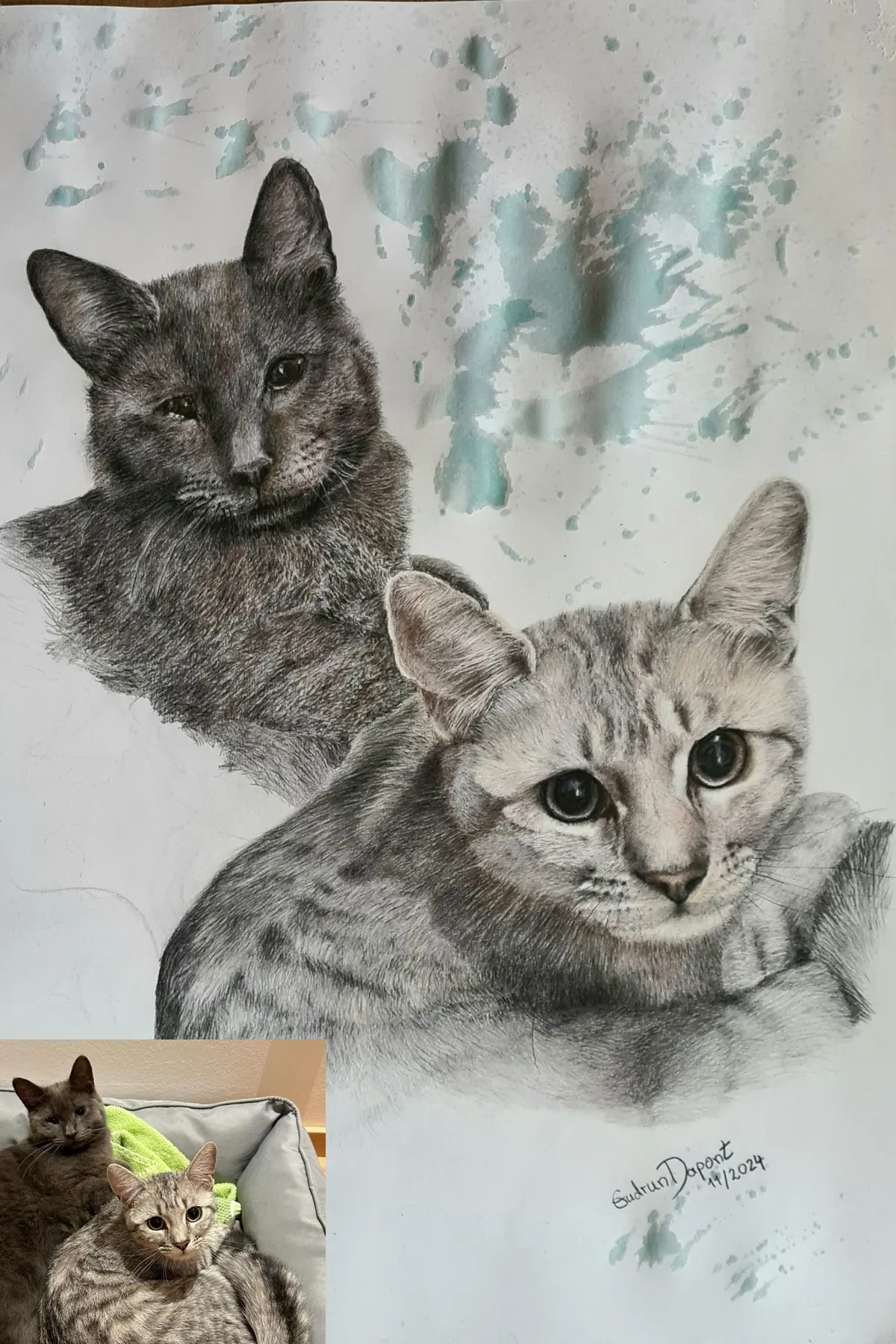 „Katzen-Porträt auf Papier, gezeichnet mit Künstlerfarbstiften“, Werk von Gudrun Dapont