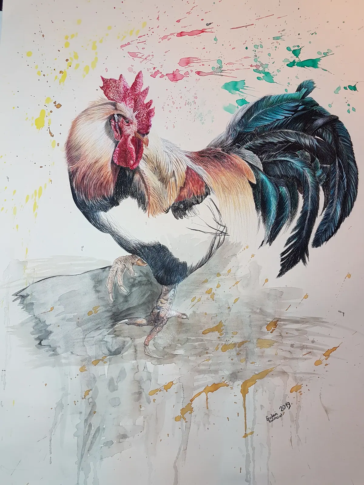 Realistisches und expressives Hahnenporträt mit lebendigen Farben und abstrahiertem Hintergrund, kunstvolle Zeichnung zwischen Tierstudie und freier Interpretation.