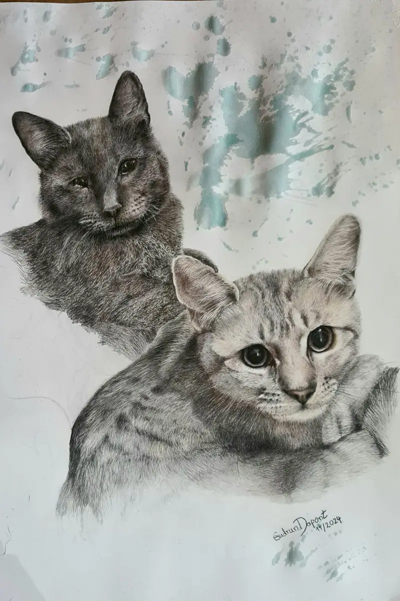 Zeichnung zweier Katzen mit kontrastierendem Fell, vor abstraktem Hintergrund aus Blau- und Grüntönen, signiert von Gudrun Dapont (2024)