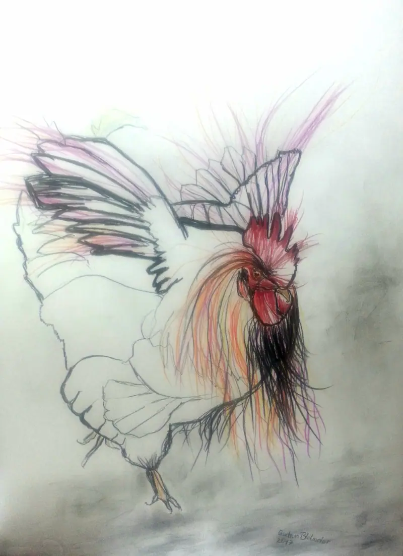 Zeichnung eines Hahns, stilisiert und teils fragmentarisch dargestellt; farblich hervorgehobener Kopf- und Halsbereich in Rot und Orange; Flügel und Körper skizzenhaft mit grafischer Linienführung, umgeben von freien Flächen mit meditativer Anmutung; signiert von Gudrun Bielmeier (Dapont) 2017